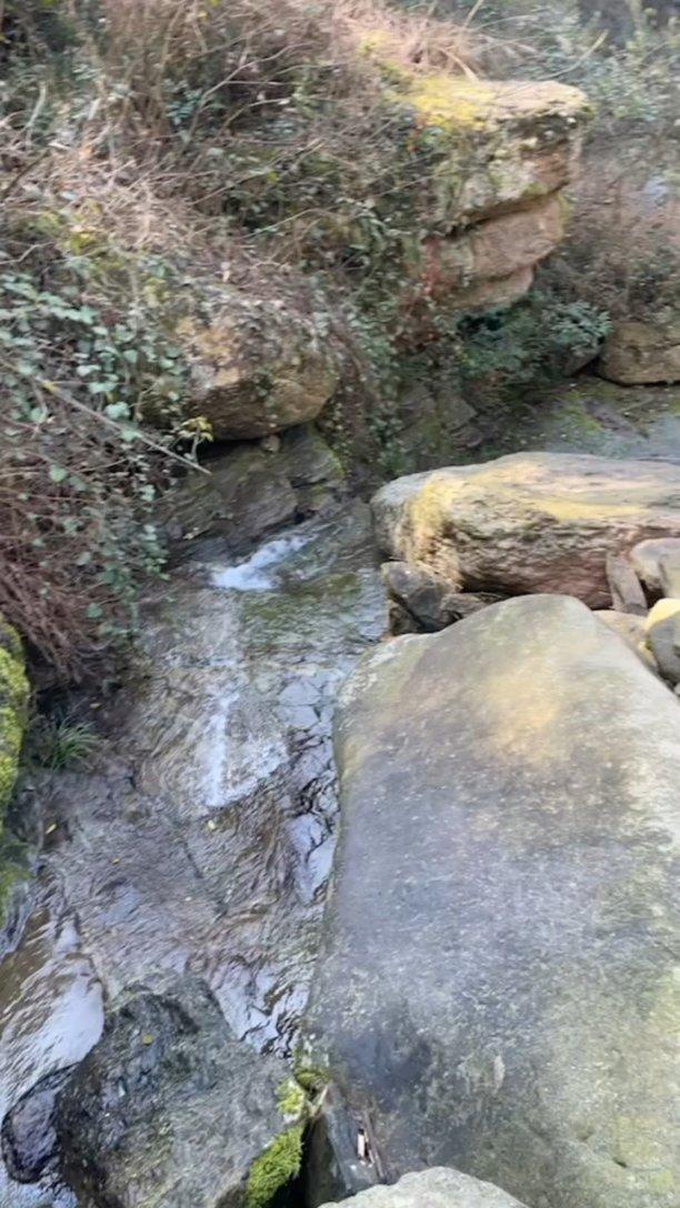 脑洞小老弟无实名认证